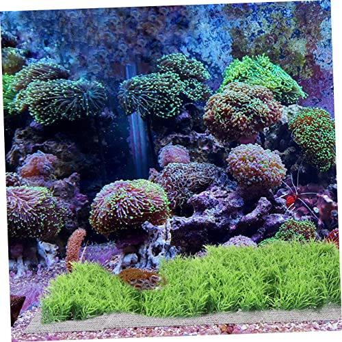 DECHOUS 10pcs Stainless Steel Aquarium Plant Mesh Grass Decor Net Fish Tank Accessory Rustproof Fish Tank Plant Holder