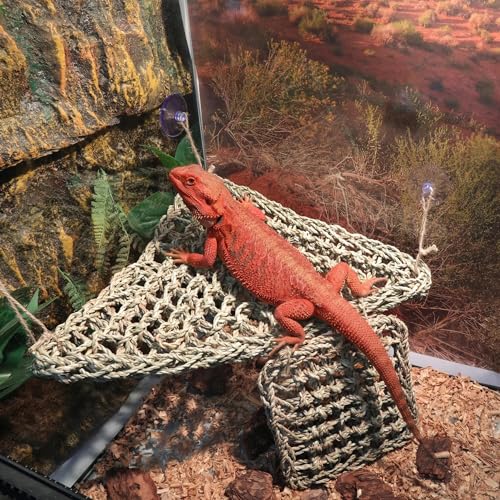 Bearded Dragon Hammock Lizard Tank Accessories Reptile Lounger Amphibian Habitat Décor for Chameleon, Geckos, Snakes, Hermit Crab, Lguana Reptiles, Tortoises - size: 22"T+8"