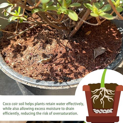 Coco Coir for Organic Coconut Coir- 12 Pack Coco Coir Brick- Coconut Soil with Low EC & PH Balance-Coco Fiber for Herbs& Flowers- High Expansion-Renewable Coco Soil for Planting - size: 12 Pack