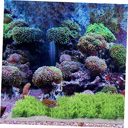 Totority 10pcs Aquarium Decorative Moss Mesh Net Fish Tank Plant Moss Carpet Fixed Net