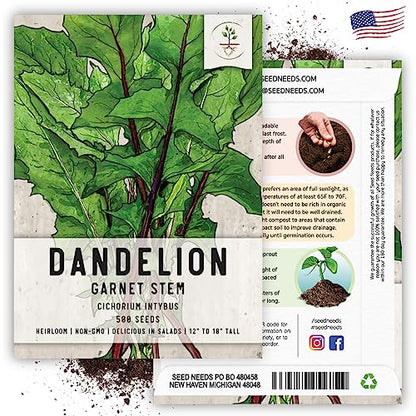 Seed Needs Garnet Stem Dandelion Seeds to Plant Heirloom & Non-GMO 2 Packs - size: 2 Packs, style: Garnet Stem Dandelion