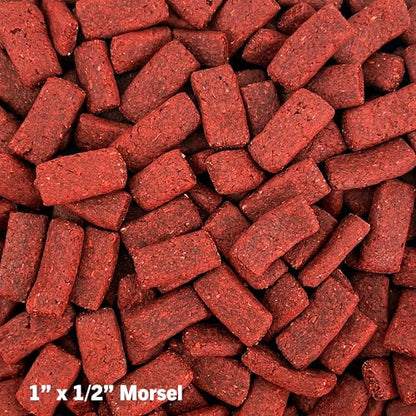 Mozaic Tortoise Food - Premium Large Pellets for Sulcata, Russian, Red-Footed, Hermann's, & Desert Tortoises - Complete Formulated Diet with Essential Amino Acids & Nutrients (15 Ounce (Pack of 2)) - size: 15 Ounce (Pack of 2)