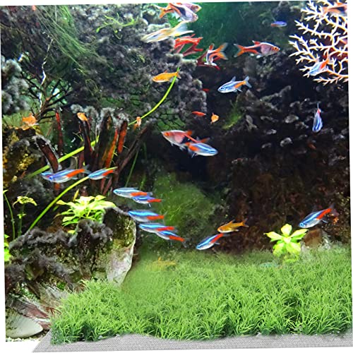 SUPVOX 10pcs Stainless Steel Fish Tank Moss Fixed Net Aquatic Planting Mesh for Aquarium Grass Water Plants for Easy Installation and Decoration