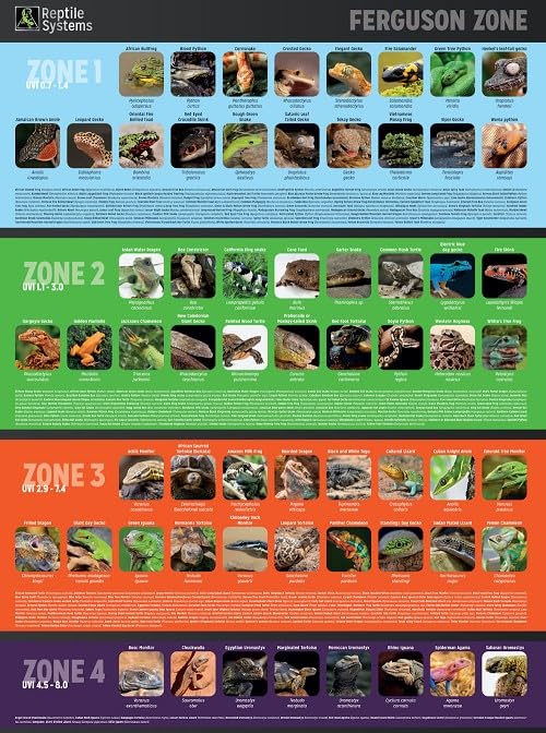 Reptile Systems T5 Ferguson Zone 4 Lamp – 24in, 24W – High Output Lighting for Reptiles, Crested Geckos, Chameleons, Leopard Geckos – Ideal for Vivariums and Tanks