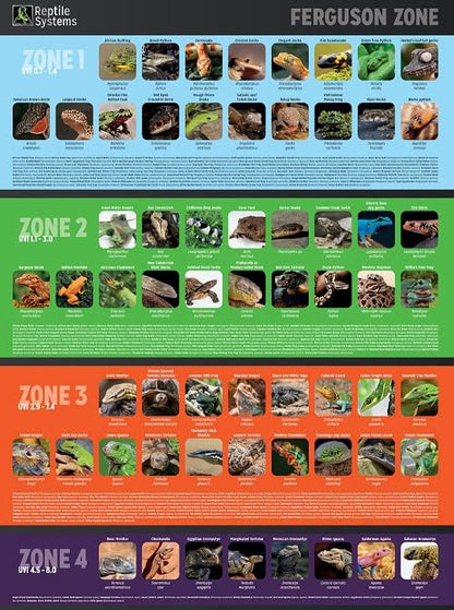 Reptile Systems T5 Ferguson Zone 4 Lamp – 24in, 24W – High Output Lighting for Reptiles, Crested Geckos, Chameleons, Leopard Geckos – Ideal for Vivariums and Tanks