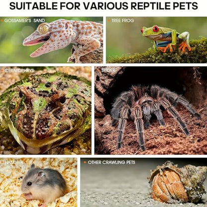 Genérico Jumping Spider Terrarium - Habitat Acrylic Tarantulas,Religious Mantis Enclosure | for Breeders Pet Lovers Educators School Projects Living Room Study Stores Office