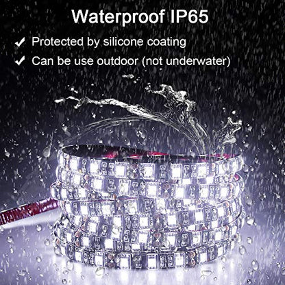 ALITOVE 16.4ft 5050 SMD Black PCB 12V White LED Strip Light Flexible Rope Lights 5M 300 LEDs LED Tape Light Waterproof IP65 DC for Home Garden Commercial Area Lighting(Without Power Supply)