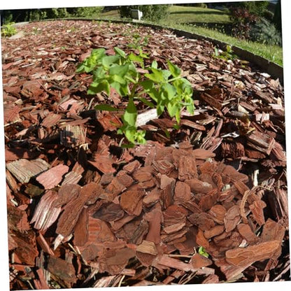 1bag Tree Bark Chips Bedding for Reptile Terrarium Decor Natural Rustic Habitat Substrate for Turtles Snakes and Lizards Safe Packaging