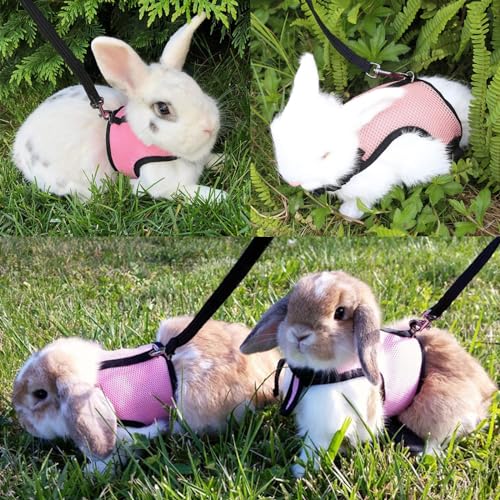 Small Pet Carrier Backpack Rabbit Carrier with Harness Vest Stretchy Elastic Leash Large Breathable Pet Carrier Airline Approved for Bunny Guinea Pig Ferret Hedgehog Kitten Travel Walking - color: Rabbit Carrier Backpack