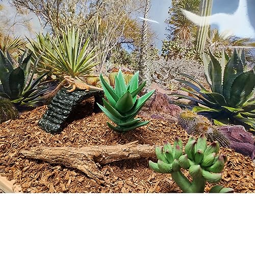 Coir Wonder Small Animal Bedding – 20 L –– Coco Chip Fiber Bedding Substrate for Guinea Pig, Hamster, Rabbit, Bunny Litter, Tortoise, Turtle, Reptile, Snake Habitat - Activated Charcoal Odor Control