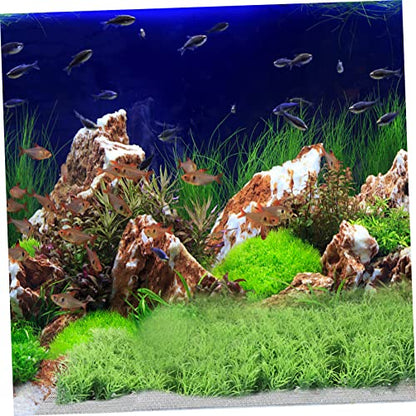 SUPVOX 10pcs Stainless Steel Fish Tank Moss Fixed Net Aquatic Planting Mesh for Aquarium Grass Water Plants for Easy Installation and Decoration