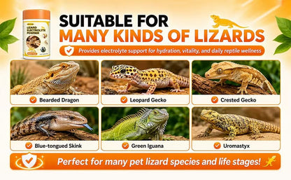 Lizard Electrolyte Powder – 2.82 oz (80 g) – Relieves Dehydration in Bearded Dragons and Geckos – Can be Administered orally or Added to Water (Banana Flavor)