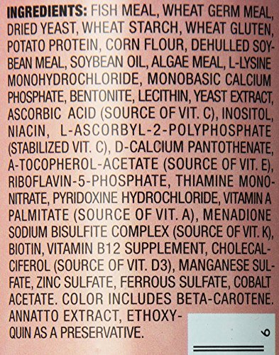 TetraCichlid Floating Cichlid Sticks 5.65 Ounces, Nutritionally Balanced Diet - size: 5.65 Ounce (Pack of 1)
