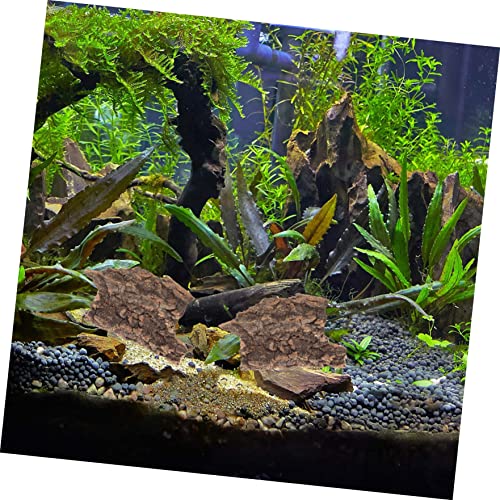 Mipcase 10pcs Cork Bark for Terrarium Reptile Tank Decor Turtle Platform Natural Reptile Tree Bark Set