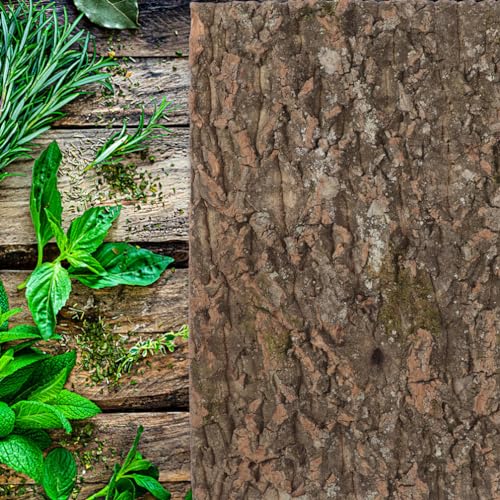 HANABASS Reptile Cork Terrarium Background Natural Bark Decor for Gecko Turtle and Reptile Tanks Climbing Mat Habitat Safe Lightweight and Easy to Move