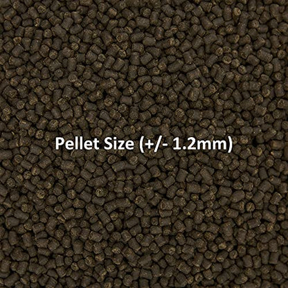 Ocean Nutrition Formula Two Pellets - Fish Food for Herbivorous & Omnivorous Marine Tropical Fish, High Protein(40%) - 3.5 oz (100 g) Small Pellets - size: 3.5 Ounce (Pack of 1), style: Small Pellet Size (+/- 1.2mm)