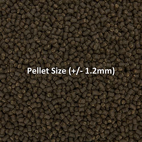 Ocean Nutrition Formula Two Pellets - Fish Food for Herbivorous & Omnivorous Marine Tropical Fish, High Protein(40%) - 14 oz (400 g) Small Pellets - size: 14 Ounce (Pack of 1), style: Small Pellet Size (+/- 1.2mm)