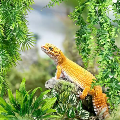 Habitat Plants for Bearded Dragon Tank Accessories,Created to Enhance Diverse Scaled Creature habitats for Species Such as Bearded Companions, Chameleons, Turtles, and Snakes