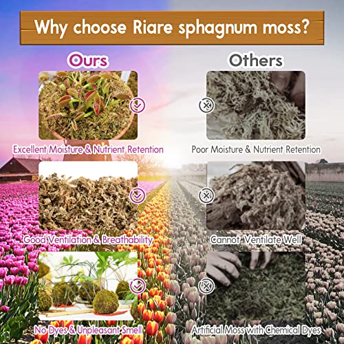 Riare 3.3 LB Premium Sphagnum Moss for Plants- 60QT Natural Long Fibered Sphagnum Peat Moss Plants Moss Dried, Carnivorous Plants Moss Orchid Potting Mix for Orchids, Carnivorous Plants, Succulent - size: 60QT/3.3lbs