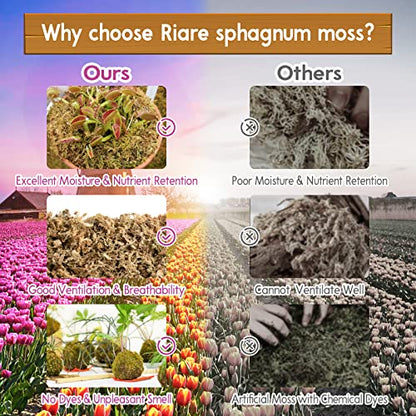 Riare 3.3 LB Premium Sphagnum Moss for Plants- 60QT Natural Long Fibered Sphagnum Peat Moss Plants Moss Dried, Carnivorous Plants Moss Orchid Potting Mix for Orchids, Carnivorous Plants, Succulent - size: 60QT/3.3lbs