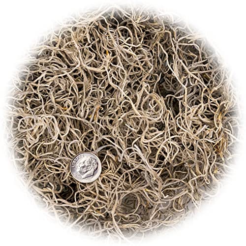 Gardenera Premium Natural Spanish Moss Natural Preserved - Great Ground Cover - Filler for Potted Plants - 1 Quart Bag, GRD-SPANISH-MOSS-1QT - color: SPANISH MOSS, size: 1 Quart