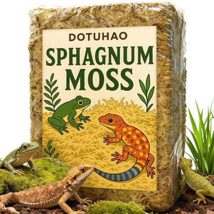 Sphagnum Moss for Reptiles, 1.1LB Terrarium Reptiles Moss Green Dried, Moss Bedding for Turtles, Frogs, Snake, Gecko Reptile Substrate (1.1 LB)