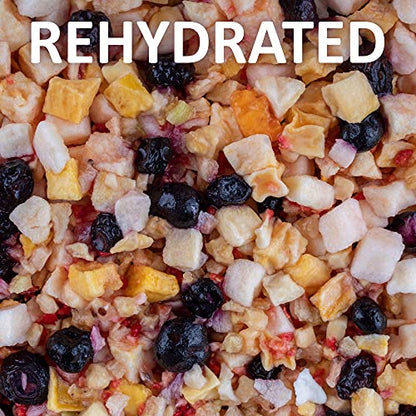 Healthy Herp Fruit Mix Instant Meal Reptile Food - Bearded Dragon Accessories & Bearded Dragon Food - Nutritious Blend for Bearded Dragons, Box Turtles, Tortoises, Hermit Crabs - 8.05 oz (230g) - size: 9.1 Ounce (Pack of 1), style: Jar