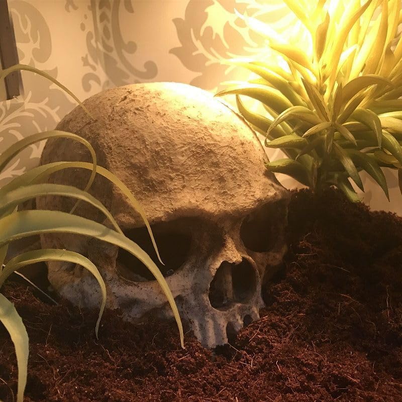 Halloween Aquarium Landscape Skull Aquarium Skull Artificial Skeleton Decoration for Home Décor Aquarium Fish Tank Landscape Collectible Teaching Prop