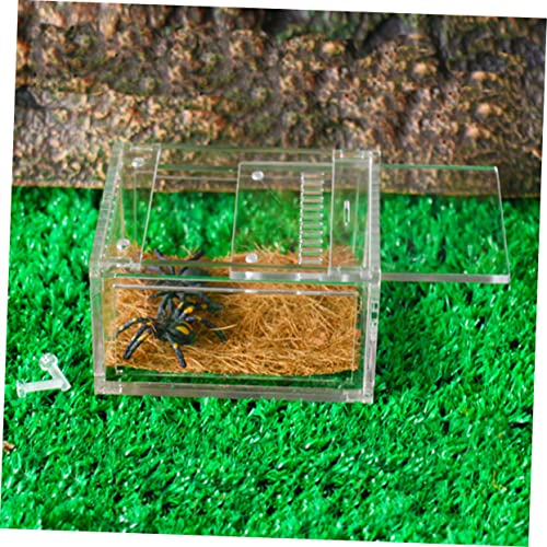 BESPORTBLE 1pc Reptile Breeding Container Habitat for Snakes Lizards and Frogs Spacious Feeding Box Ventilation for Healthy Growth