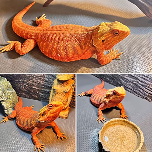 Bearded Dragon Mat 1Pack 18x36, Reptile Tank Accessories, Terrarium Liner Bedding, Non-Adhesive Reptile Substrate Mat for Bearded Dragon, Leopard Gecko, Lizard, Tortoise, Iguana Tank - color: 18x36" Gray