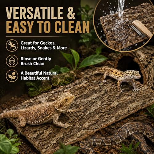 RHBLME 6 Pack Cork Bark for Reptiles, 11.8" L x 7.8" W Cork Bark for Terrarium, Reptile Tank Background Terrarium Backdrop Wall Decor Natural Reptile Climbing Mat