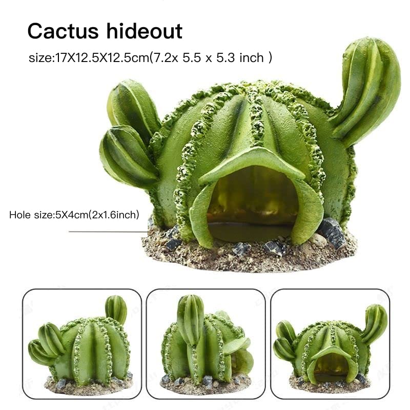 AWXZOM Reptile hideouts Come with Dinosaur Skull Hideout, Resin Cactus Desert Aquarium Tank Habitat Accessories for Bearded Dragon Chameleon Leopard Gecko Snake Fish (Ball Cactus)