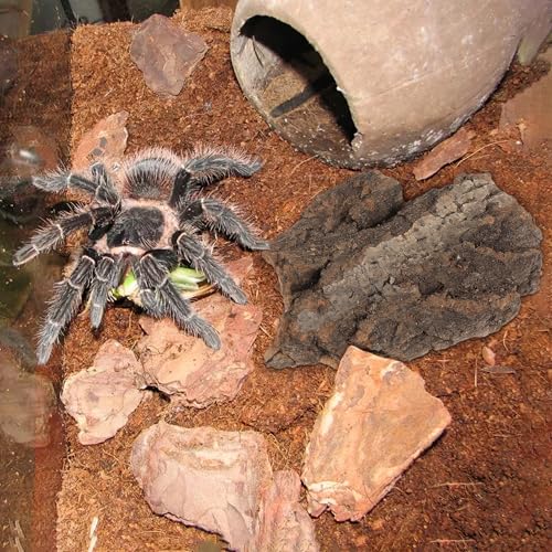 Garneck 4pcs Reptile Tree Bark Decor, Natural Cork Bark Climbing Hide for Reptiles, Terrarium Decorations for Lizards and Snakes