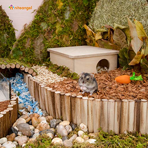 Niteangel Hamster Suspension Bridge Toy - Long Climbing Ladder for Dwarf Syrian Hamster Mice Mouse Gerbils and Other Small Animals (25.6L x 3.15W) - size: 25.6L x 3.15W