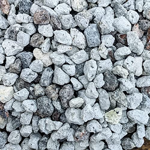 Bonsai Outlet Horticultural Pumice for Plants - Tinyroots Succulents, Cactus, Bonsai Plants - 100% Pure Bonsai Pumice Rocks, 1/4 inch Soil Additive, 2 Quarts - size: 2QT