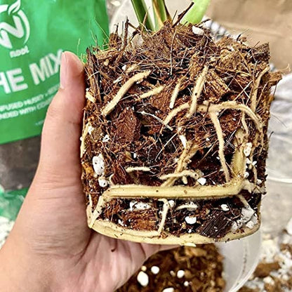 Noot Potting Soil Mix for Indoor & House Plants – 1 Gallon – Orchid, Succulent, Cactus, Aroid, Houseplant, Monstera – Bio-Organic – Fast Draining – Rapid Root Growth – Pre-Soaked & Ready to Use - size: Noot Potting Mix