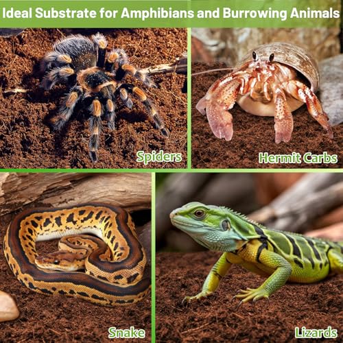 Riare 1 Pack Natural Coconut Fiber Substrate for Reptile- Premium Compressed Coconut Husk Terrarium Bedding for Reptile, Tortoise, Frogs, Snakes Hermit Crabs, Burrowing Animals - color: 1 pack