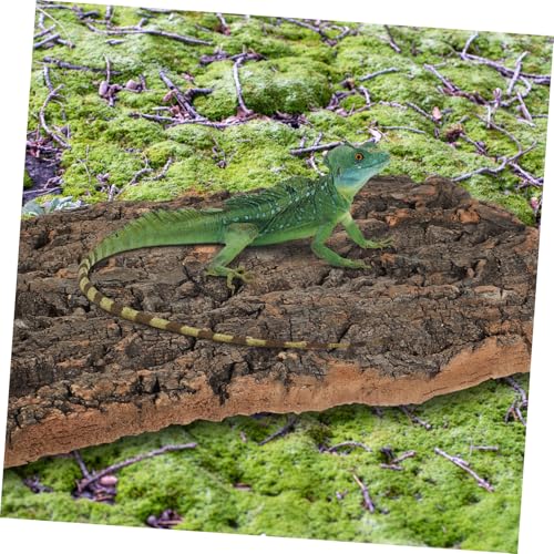 TOYANDONA 2pcs Cork Bark for Reptiles Tree Bark Hideout for Aquariums and Terrariums Climbing Surface for Bearded Dragons and Lizards Flexible Configuration for Any Fish Tank