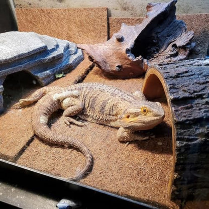 PINVNBY 4 Pieces Reptile Carpet,Bearded Dragon Natural Coconut Fiber Mat,Lizard Terrarium Liner Pads,Tortoises Bedding Supplies for Gecko Snake Chameleons(4 Sheets / 19.7x11.8x0.4inches)