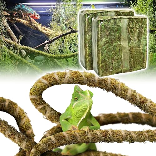 Duspro Reptile Decor Set Including 10FT Reptile Vine Climbing Bendable Branch & 04 OZ Natural Dried Forest Moss Bag Ideal for Bearded Dragon Chameleon Snake Gecko Lizard Terrarium Tank Accessories - color: Green Reptile Moss Set - 10 Feet