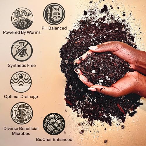 Craft Aroid Potting Mix- Elite Organic Alocasia, Philodendron, Monstera Soil Mix, Chunky, Well Draining Potting Soil for Indoor Plants, All Tropical Plants & Houseplants, Sustainable & Peat Free 8QT - size: 8 Quart