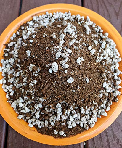Succulent & Cactus Plant Potting Soil Mix Peat Moss & Perlite, 1 Quart (1qt 4 Level Cups) - size: 1qt
