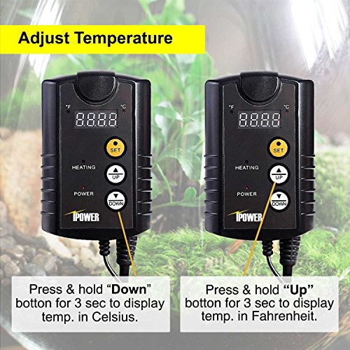 iPower GLHTMTCONTROL 40-108 Degrees Fahrenheit Digital Heat Mat Thermostat Controller for Seed Rooting Germination Reptiles, Fermentation and Brewing, 1000W-Black, Black - size: 1000W-Black, style: 1 Pack