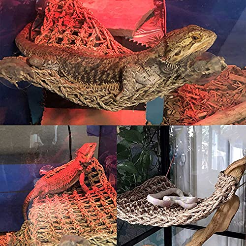 kathson Bearded Dragon Hammock Reptile Lounger Reptiles Plants Hanging Fake Vines Boston Climbing Terrarium Plant Lizard Tank Accessories Flexible Leaves Decor for Chameleon Gecko Snakes