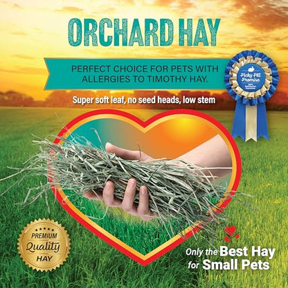 Small Pet Select Orchard Grass Hay Pet Food for Rabbits, Guinea Pigs, Chinchillas and Other Small Animals, Premium Natural Hay Grown in the US, 5 LB - size: 5 Pound (Pack of 1)