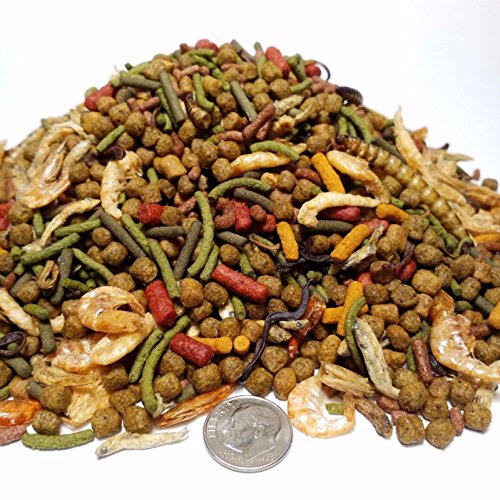 Gourmet Blend of 9-Types Ultra Aquatic Turtle Diet Mix of Floating Pellets, Krill, Floating Sticks, Dried Fish a Complete Aquatic Turtle Diet GB-540-2-lbs - size: 2 Pound (Pack of 1)