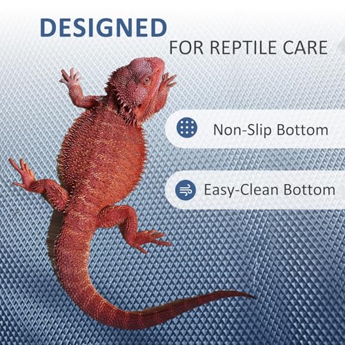 Eooqi Foldable Bearded Dragon Bathtub, Collapsible Reptile Bath Pool & Small Pet Water Tub, Portable Hard-Side Reptile Swimming Pool for Bearded Dragons, Hedgehogs and Hamsters (Gray, 19 x 3.5 in) - color: Gray