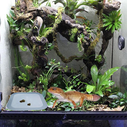2 Pcs Leopard Gecko Potty Pad,Crested Gecko Potty Latrine，Leopard Gecko Tray，Reptile Litter Box，Portable Gecko Tank Accessories (Blue) - color: Blue