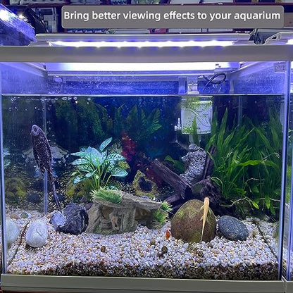 Betta Fish Hideout Cave Aquarium Rock Decor for Small Tank – 5.5 x 2.9 | Shelter for Betta Fish Guppies Shrimp / Natural Stone Look / Lightweight Resin
