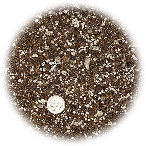 Premium African Violets and Gesneriad Premium Soil Mix by Gardenera - Horticultural Perlite, Vermiculite, Sphagnum Peat Moss - Made in USA - (2 Quart) - color: AFRICAN VIOLETS SOIL, size: 2 Quart
